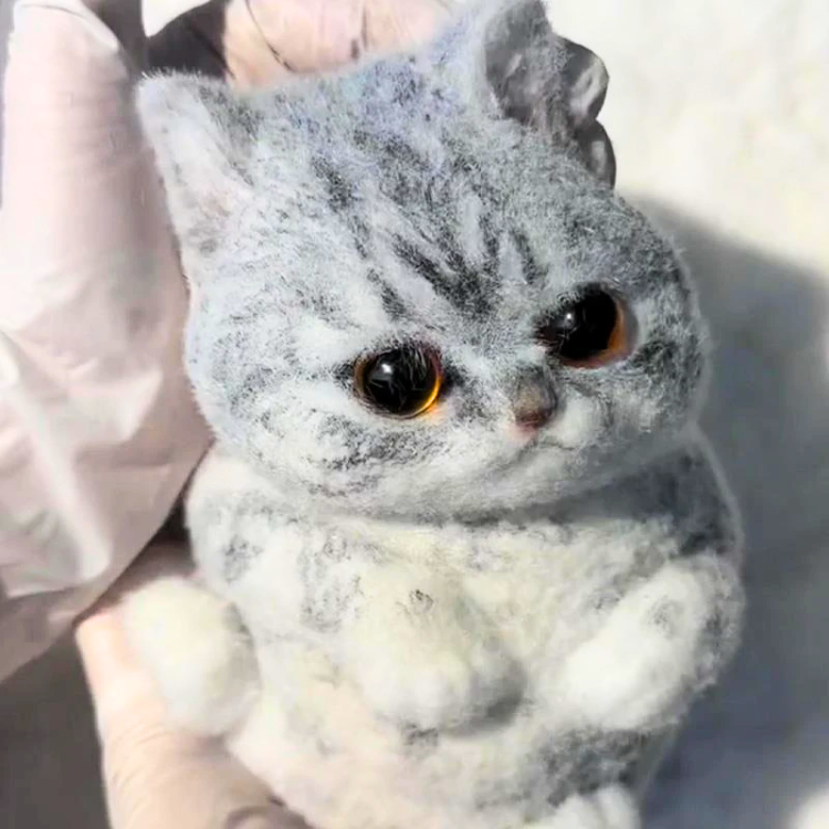 Cat Squishy Toy