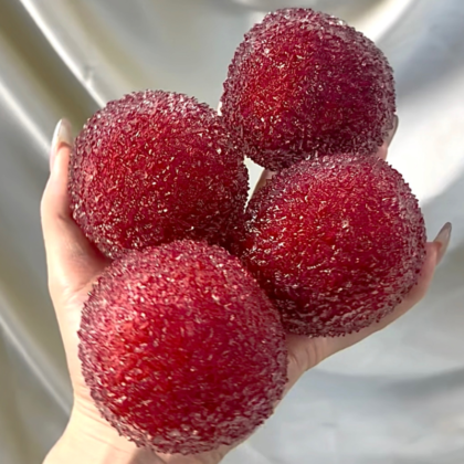 Bayberry Taba Squishy Toys